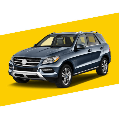 ML 5P (2011 ACTUEL)